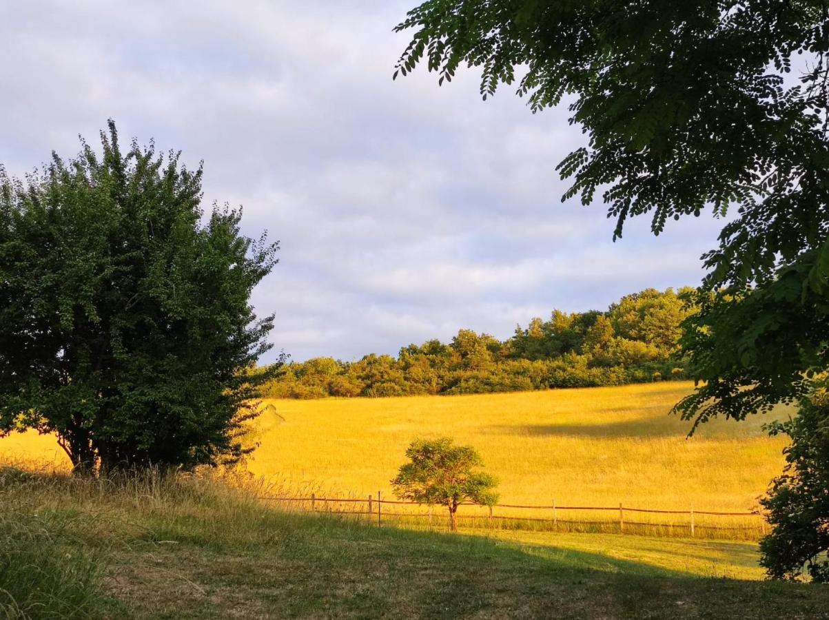Chateau Labistoul Campes Buitenkant foto