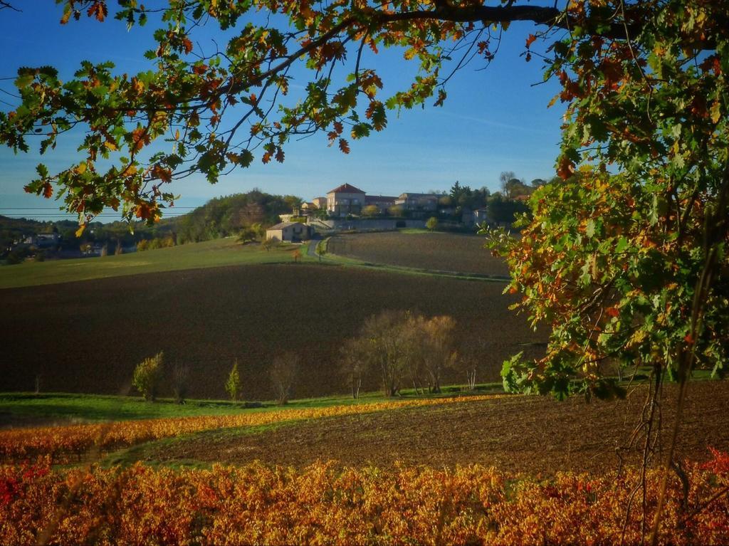 Chateau Labistoul Campes Buitenkant foto