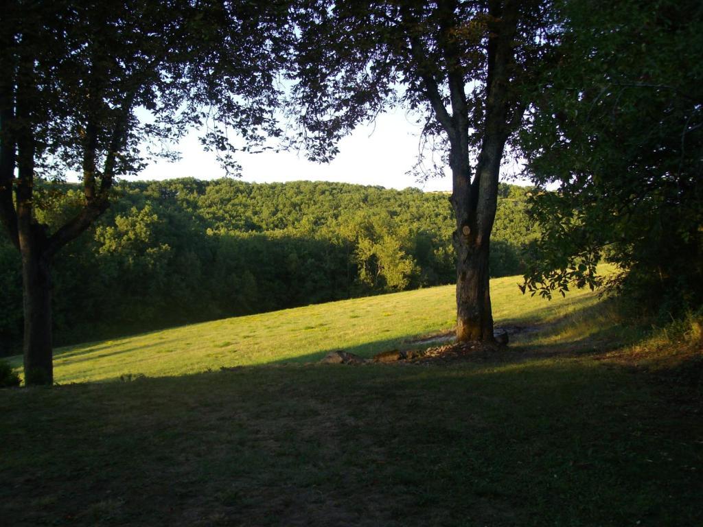 Chateau Labistoul Campes Kamer foto