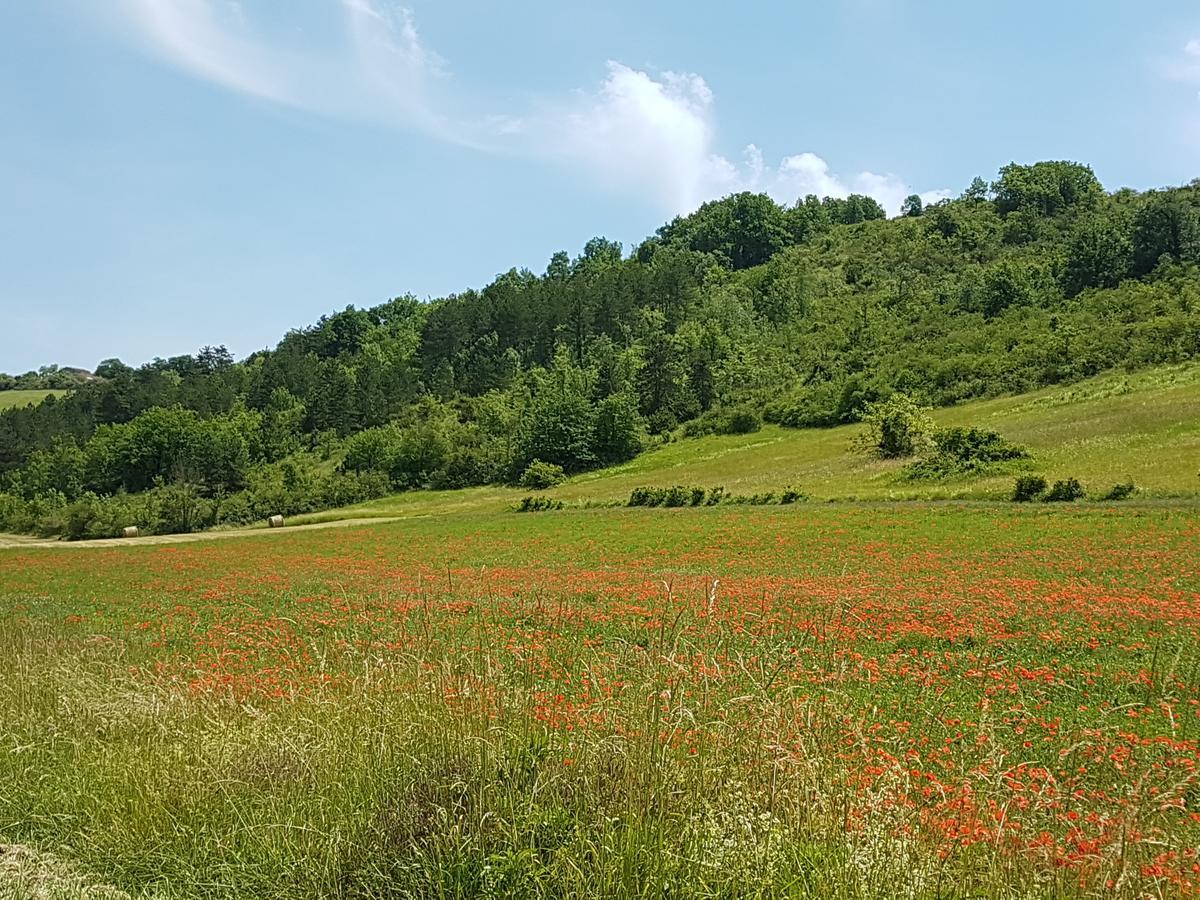 Chateau Labistoul Campes Buitenkant foto